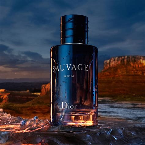 fragrance oil dior sauvage